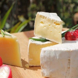 Sandwich Cheese with Tomato