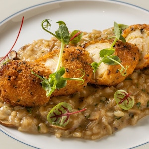 Porcini & Truffle risotto with chicken roulade