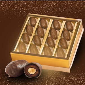 Camel Milk Choco Dates - Large