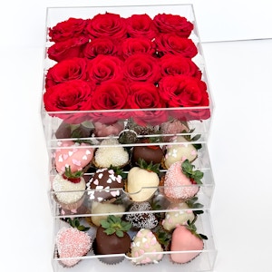 Acrylic Premium Box Red Big