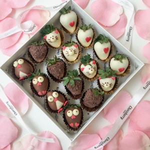 Chocolate Strawberries "Penguin & Kitty"