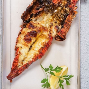Grilled Rock Lobster