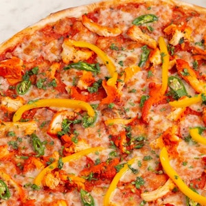 Apollo - Large Classic