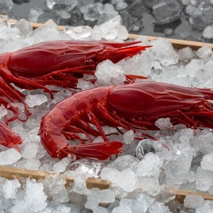 Hispamare Carabinero Shrimps Grande