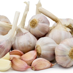 Garlic Pink