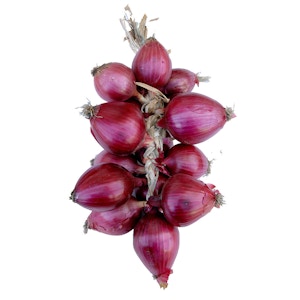 Onion Red Tropea
