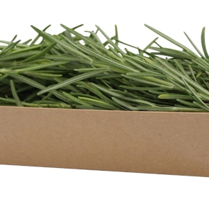 Rosemary