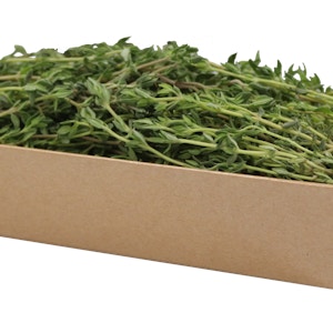Thyme